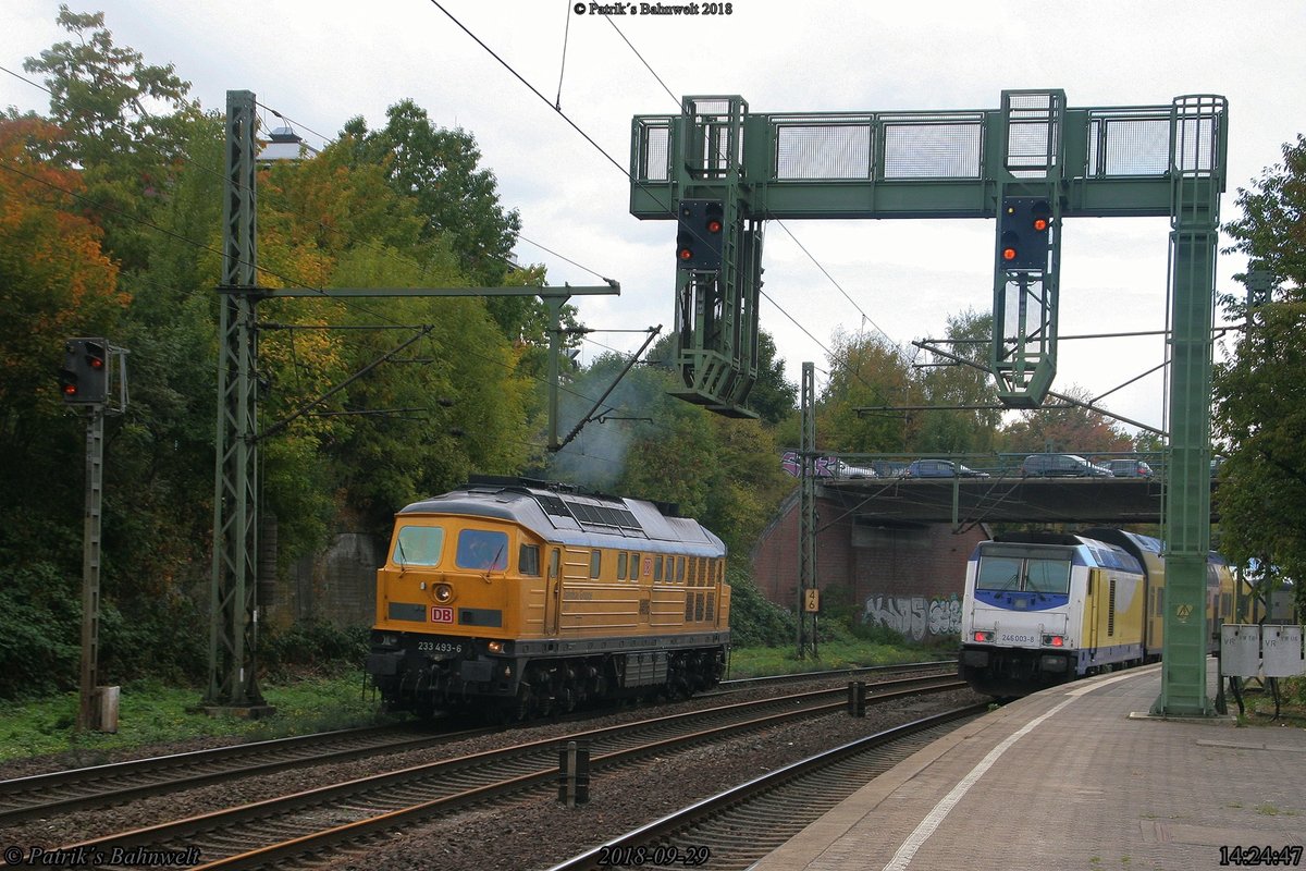 DB Bahnbau 233 493 Lz Richtung Bbf. Hmb.-Harburg
am 29.09.2018 in Hamburg-Harburg